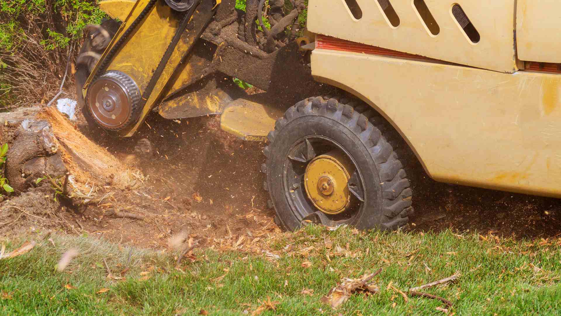 Stump Grinding