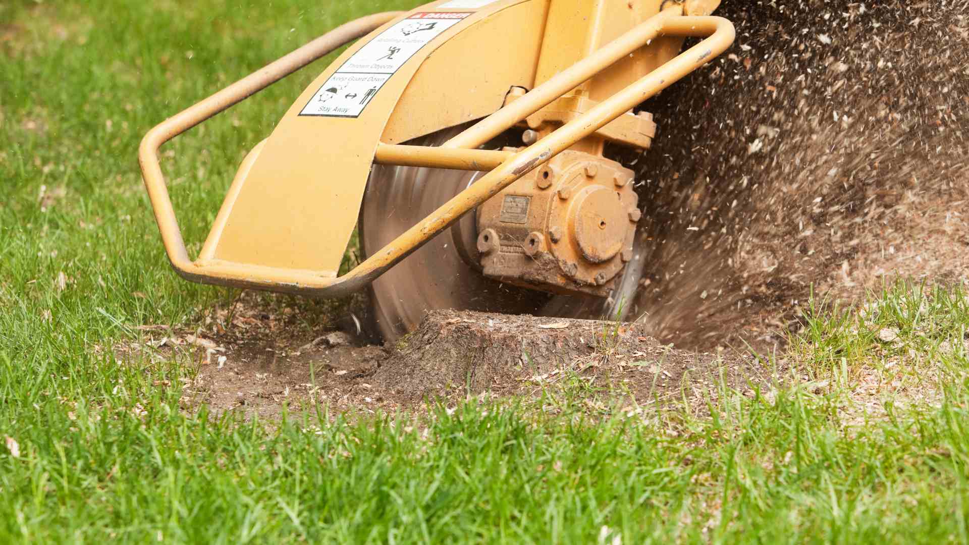 Stump Removal